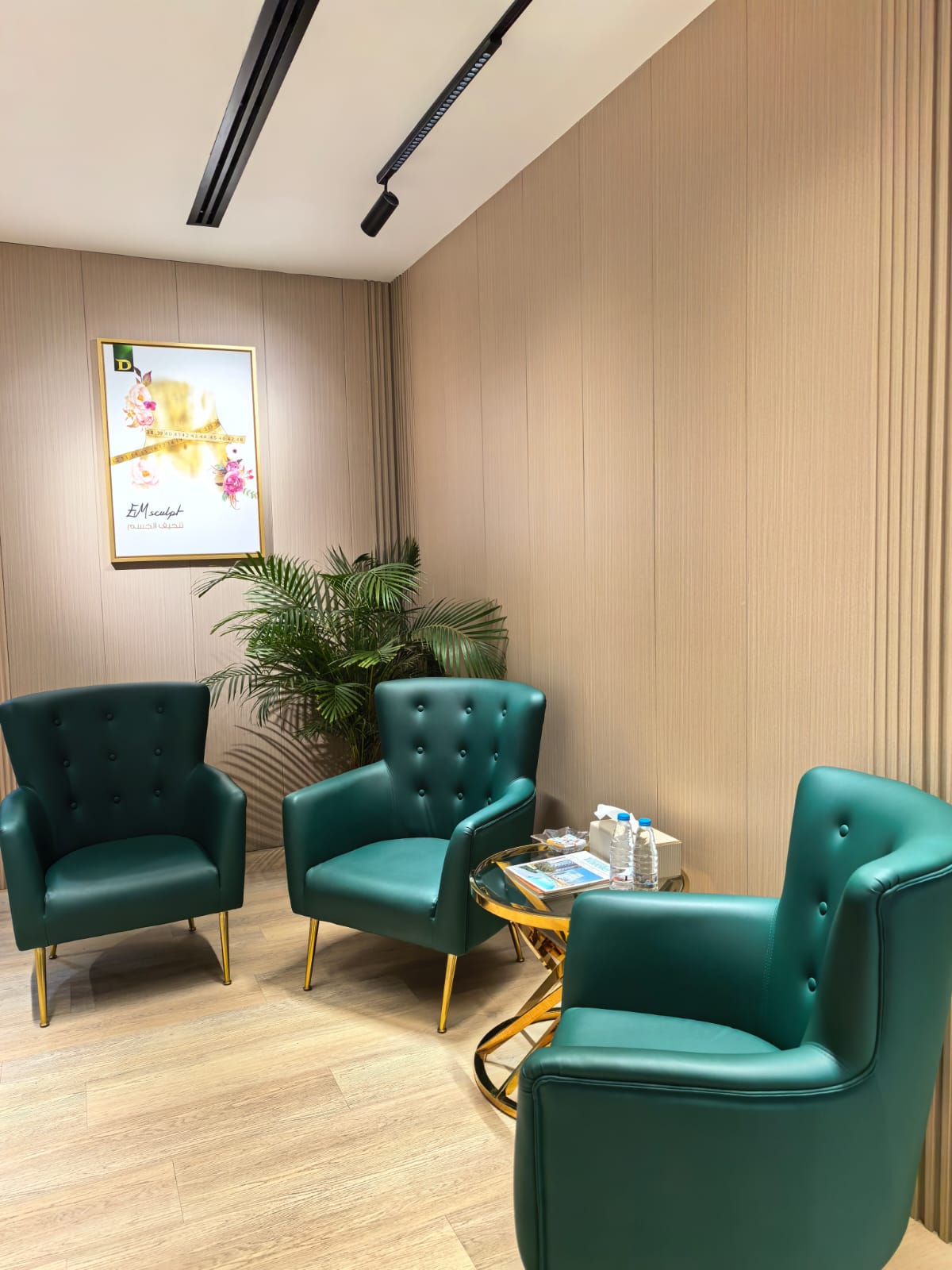 Derma Zone Laser And Cosmetic LLC