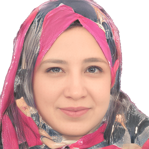 Dr. Ghada Elmorshidy