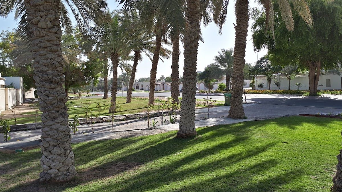 Dubai Department of Medical Education