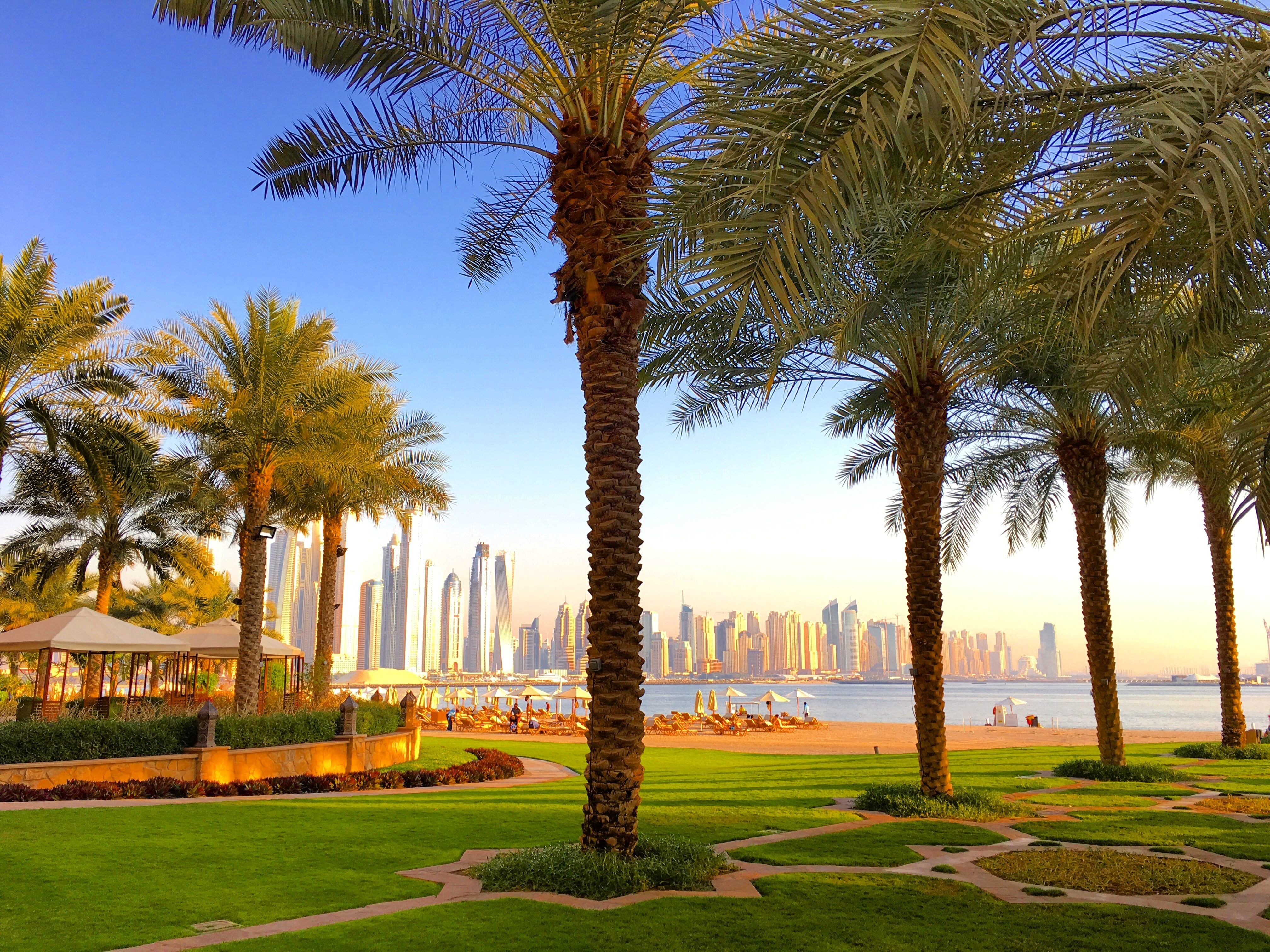 Why UAE is the Perfect Place for Medical Tourism
